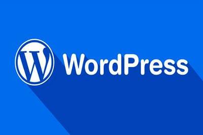 WordPress搜索用不了？一招解决！  第1张