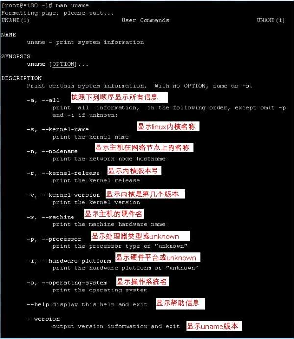Linux如何开启自动分配IP？