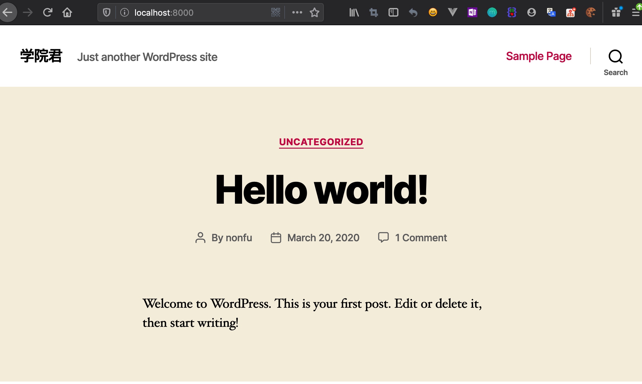 WordPress本地安装后首页打不开？  第1张