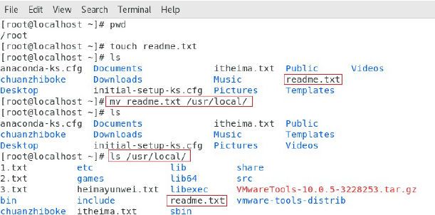 Linux如何管理本地视频文件？  第1张