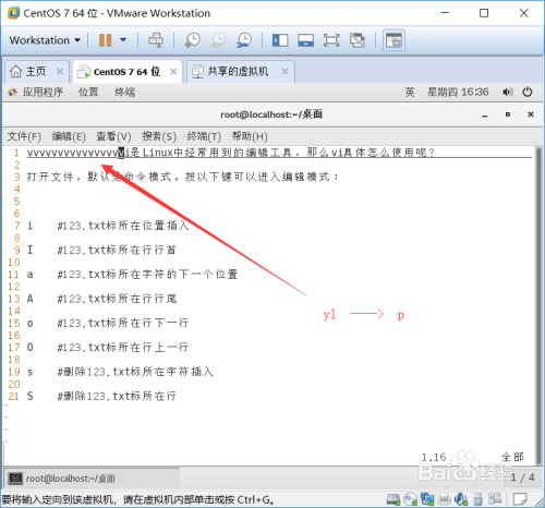 linux vi如何到行尾