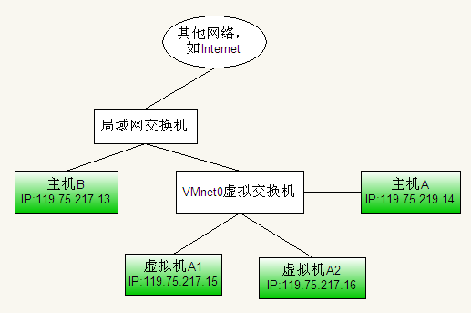 虚拟机和物理机网段不同