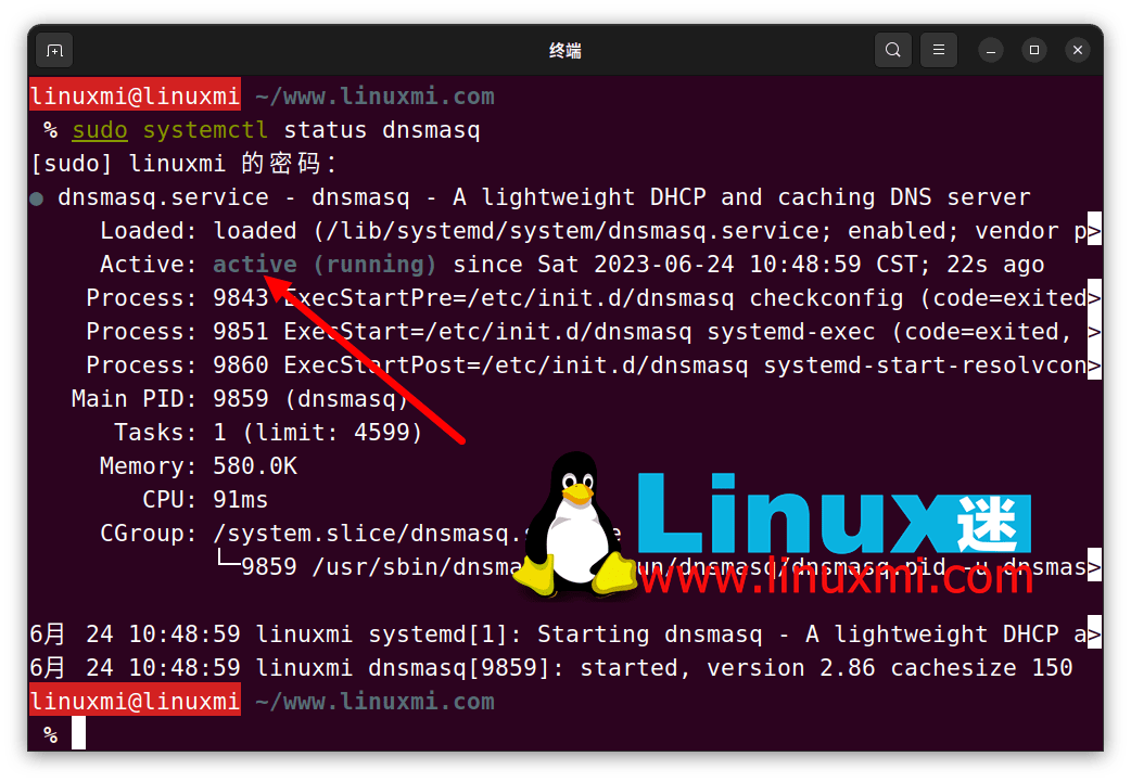 linux如何查看dns  第1张