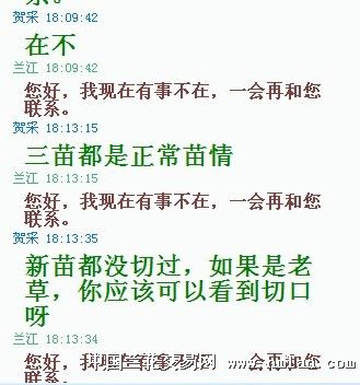 qq一天没聊天小草为什么还有  第1张