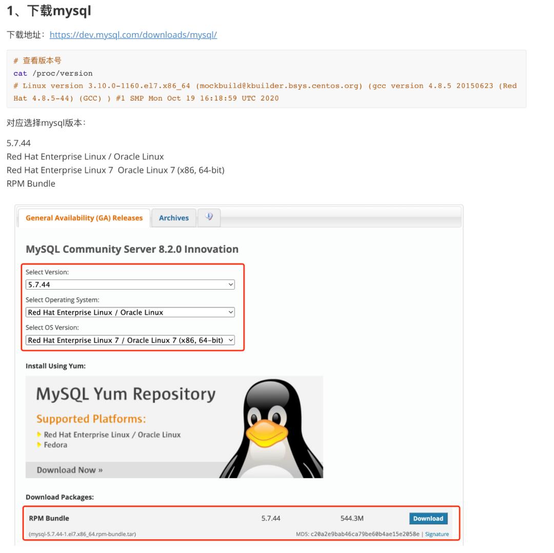 linux如何进入mysql