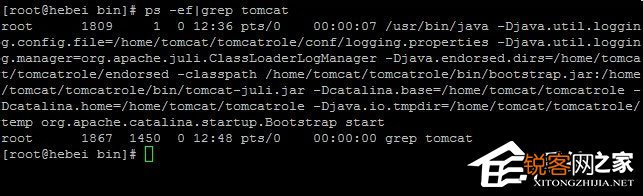 linux中如何终止程序运行  第1张
