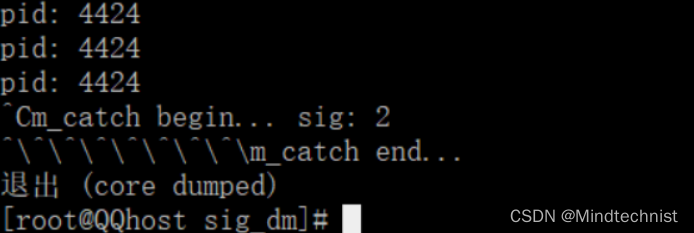 linux c信号如何捕获
