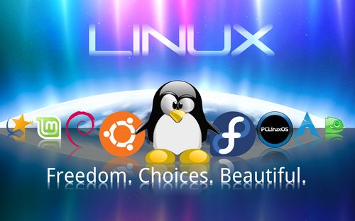如何在linux中使用wget  第1张