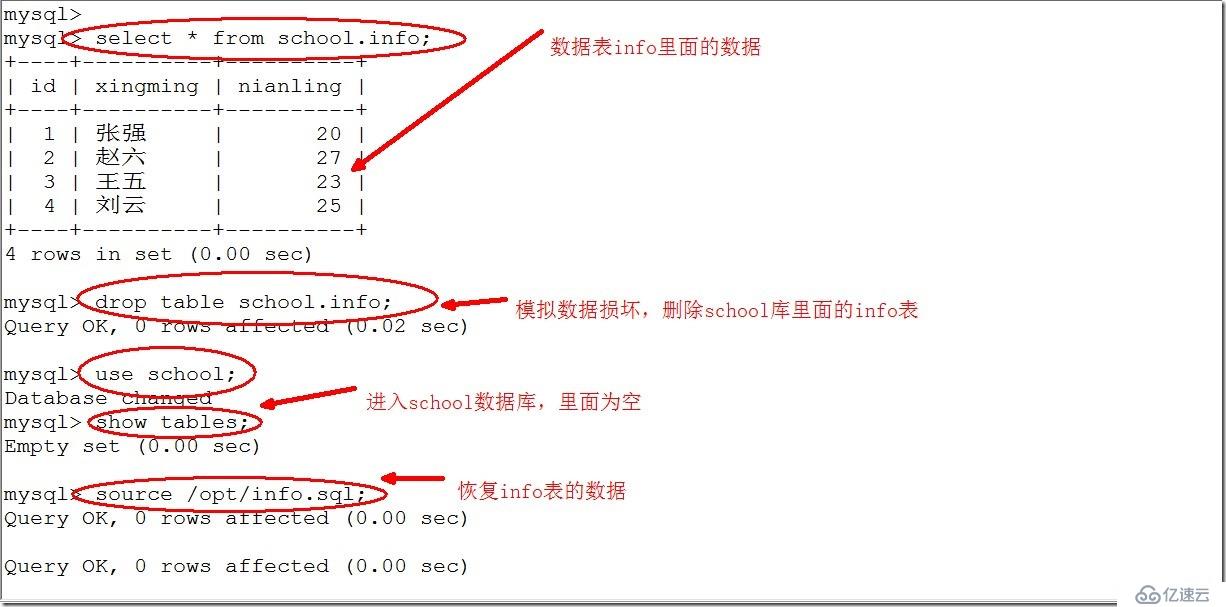 mysql删除后怎么恢复数据库文件