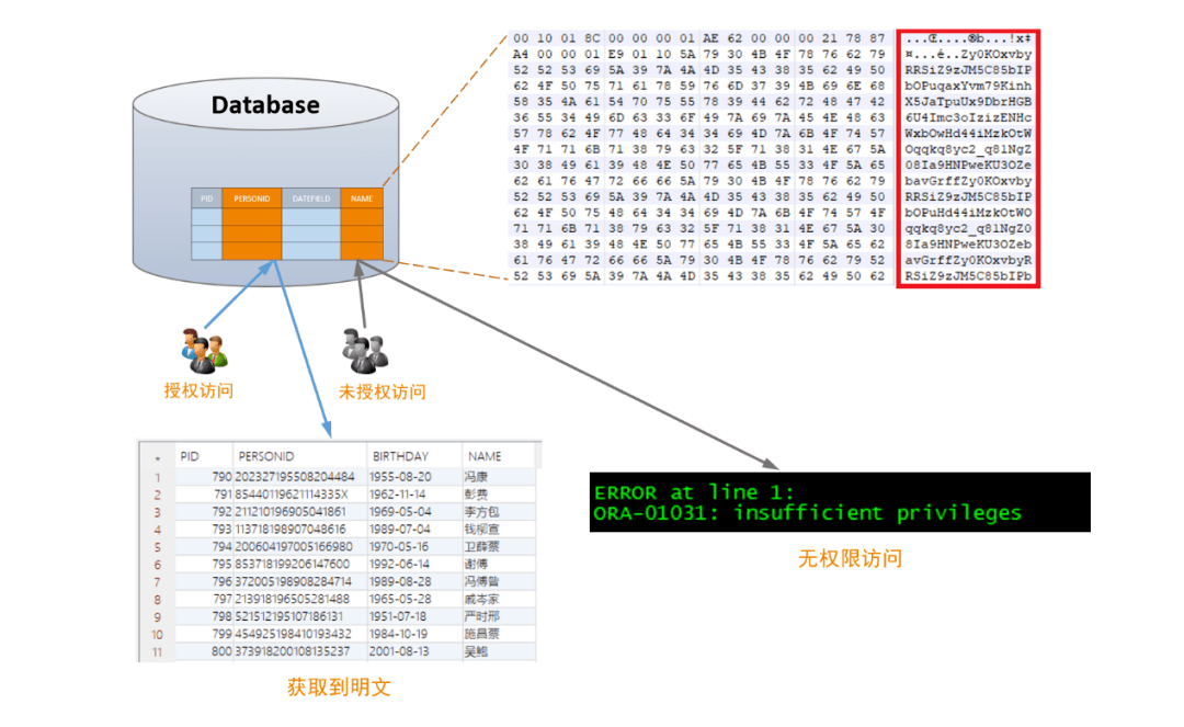 怎么往数据库里面加图片吗