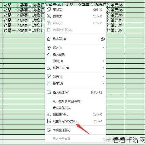 为什么wps填表字只能有一行  第1张