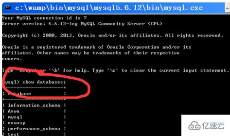 mysql 怎么看数据库名  第1张