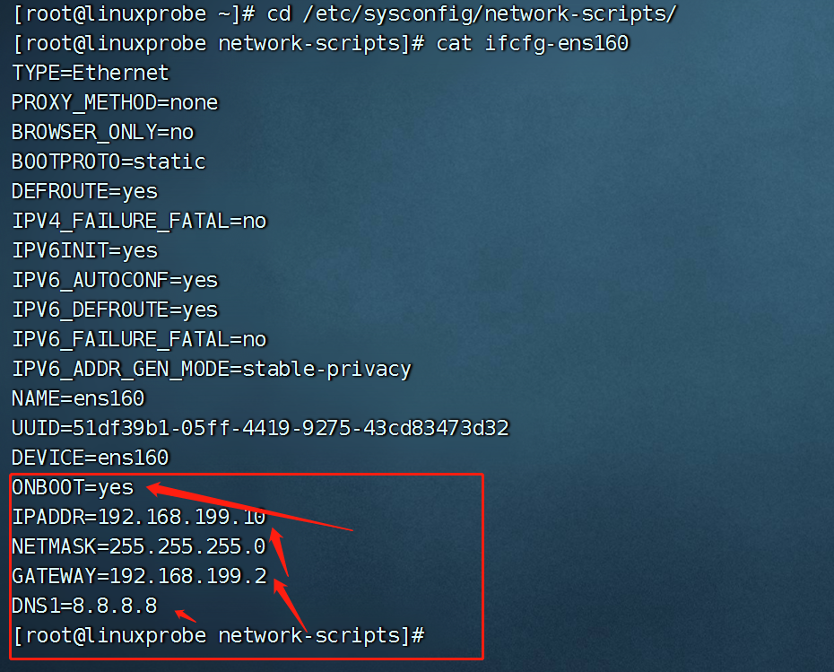 vm 配置物理机网络