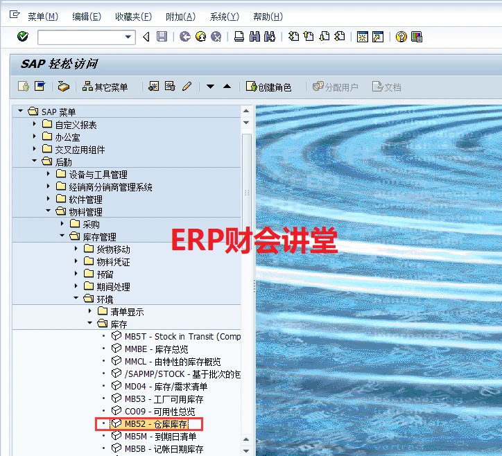sap怎么查看系统数据库表  第1张