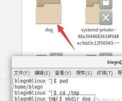 linux如何批量拷贝文件  第1张