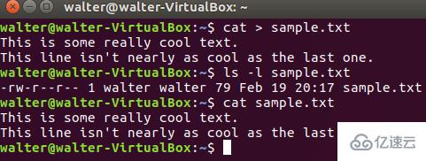 linux如何打开文本
