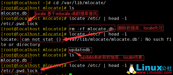 linux 如何搜索  第1张