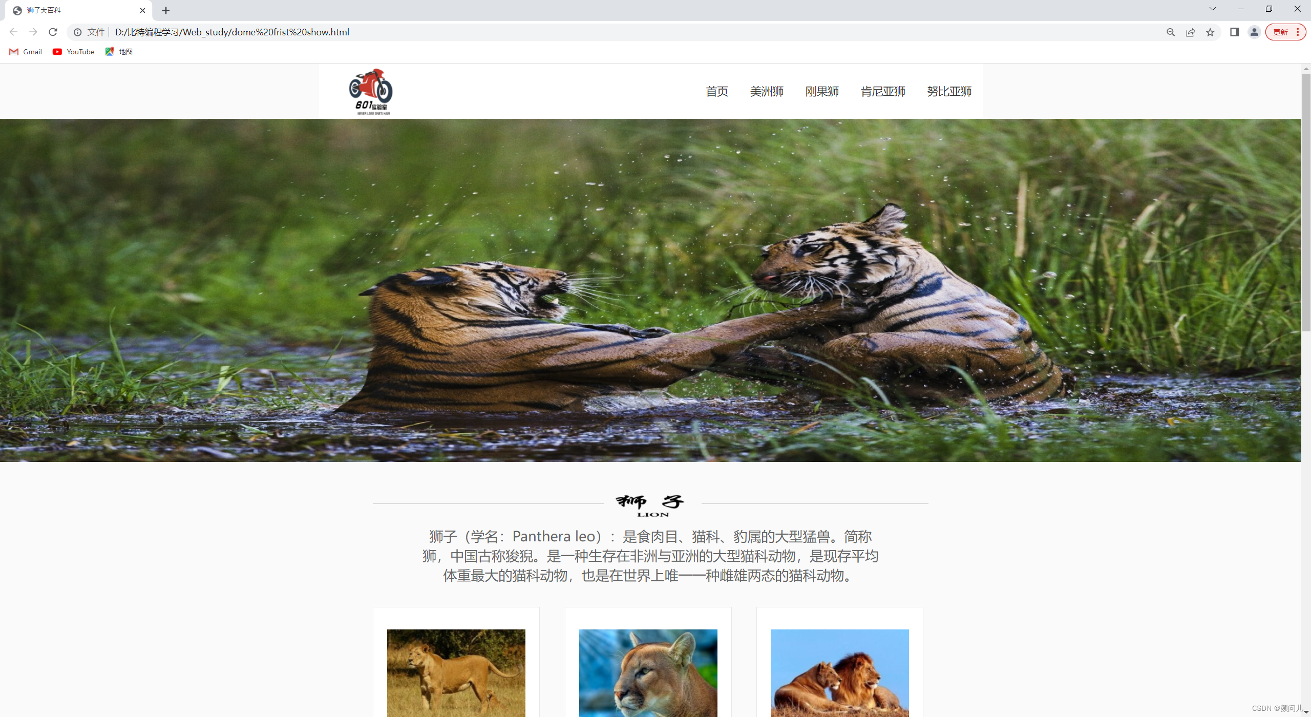 html静态如何生成动态网页