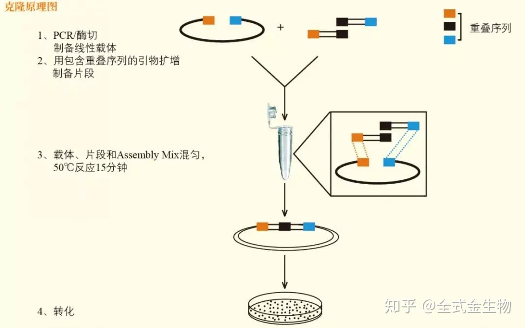 怎么克隆物理机