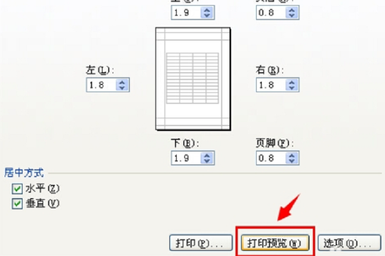 excel表哥打印为什么显示2E  第1张