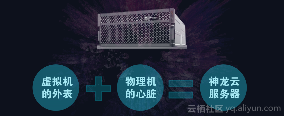 神龙物理机  第1张