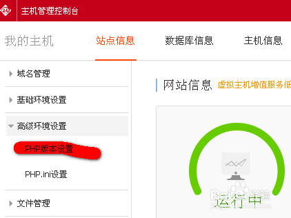 虚拟主机能不能挂软件  第1张