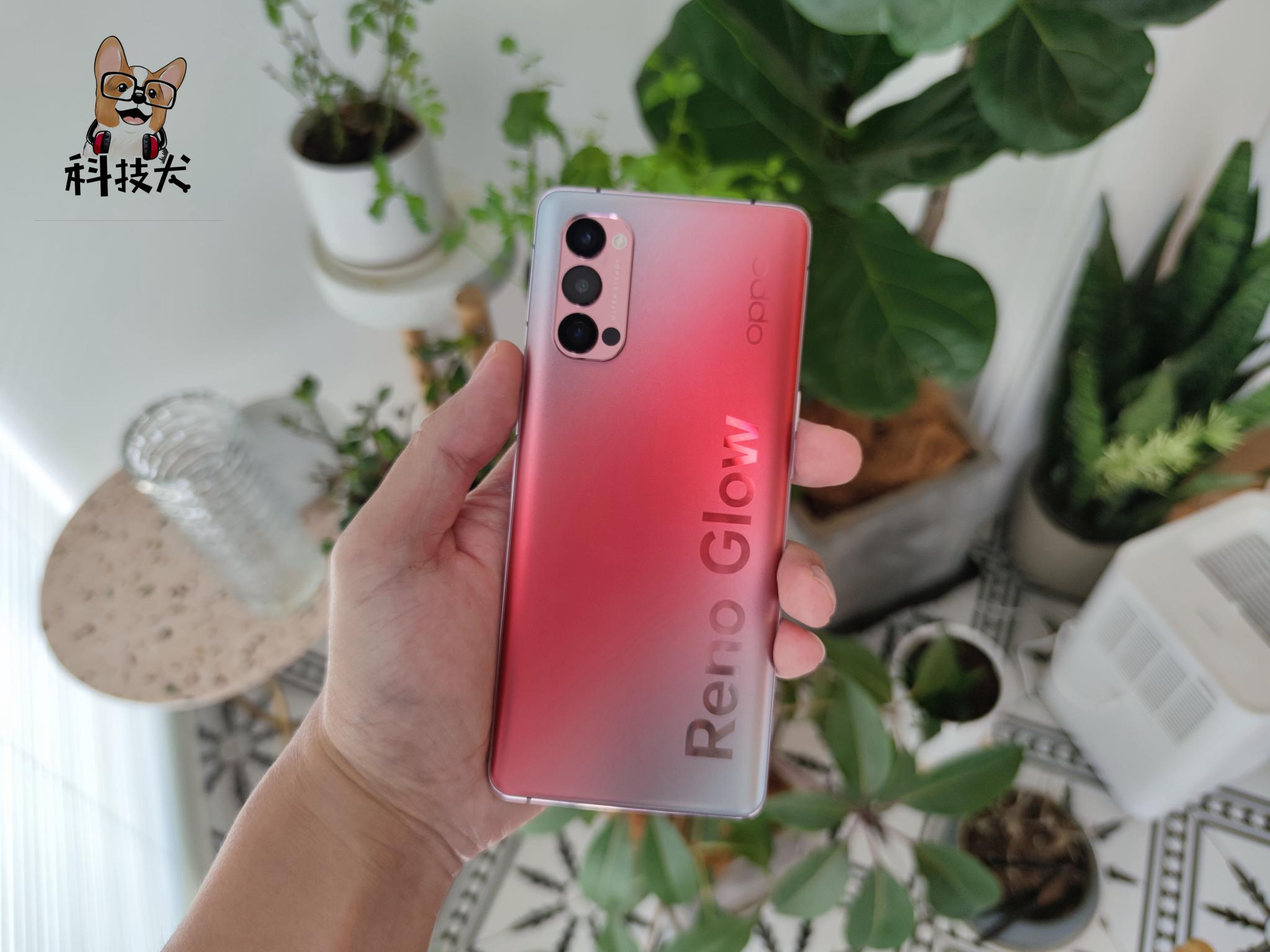 为什么OPPO上滑不能回桌面  第1张