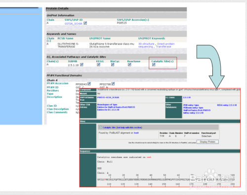 sqlplus怎么登陆数据库  第1张