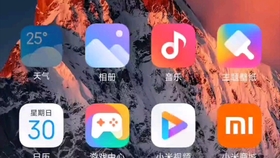 miui12为什么没有小横条