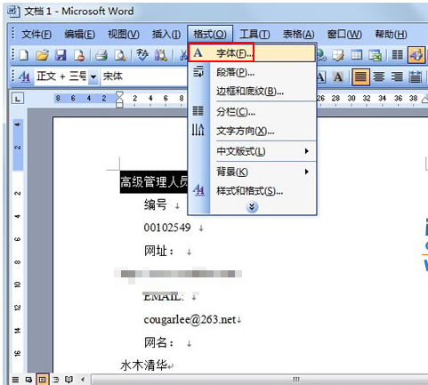 word预览为什么字有大有小