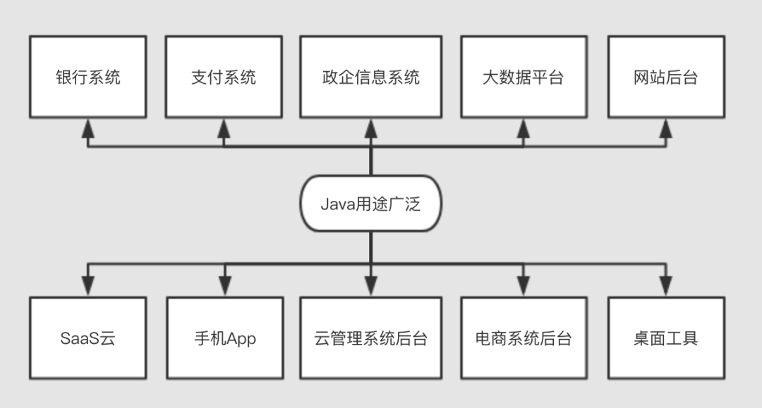 怎么培养java新人