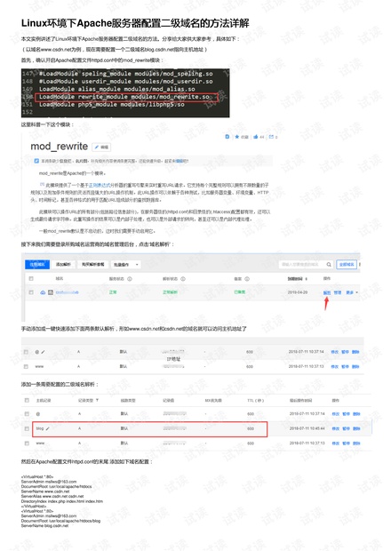 apache服务器可用于解析域名.