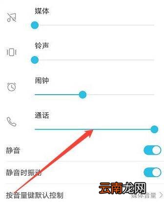 oppo看抖音为什么没声音
