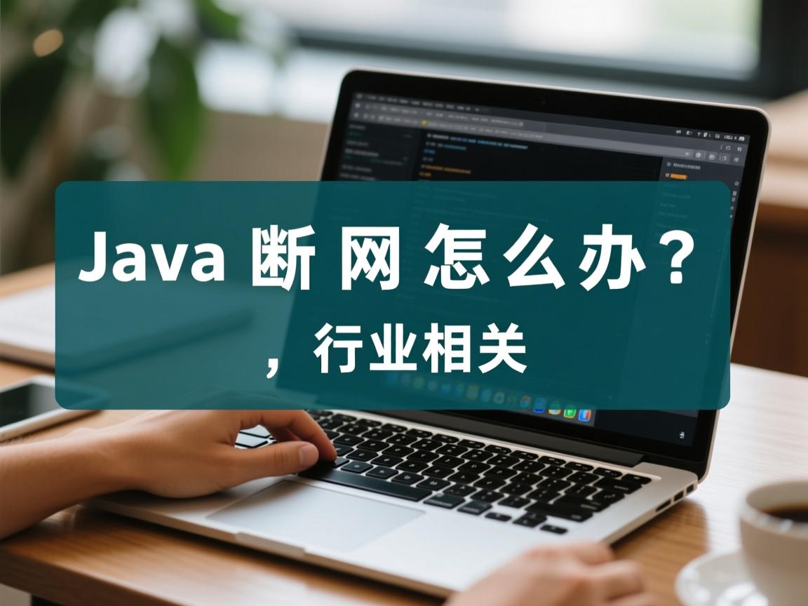 Java断网怎么办？  第1张