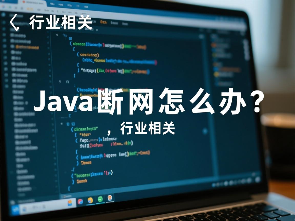 Java断网怎么办？  第3张