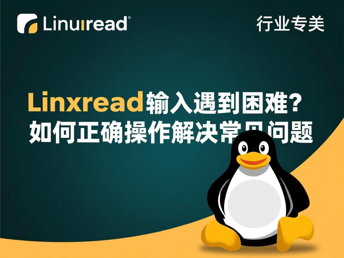 Linuxread输入遇到困难？如何正确操作解决常见问题  第2张