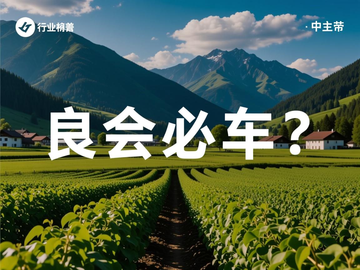 显示不全怎么办  第2张 显示不全怎么办  第2张