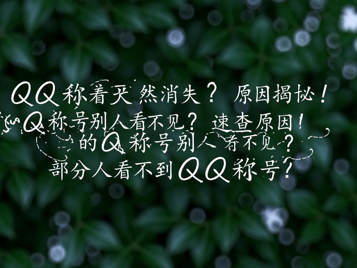 QQ称号突然消失？原因揭秘！，QQ称号别人看不见？速查原因！，你的QQ称号别人看不见？，部分人看不到QQ称号？  第3张