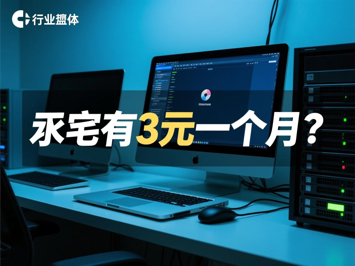 虚拟主机真有3元一个月的？
