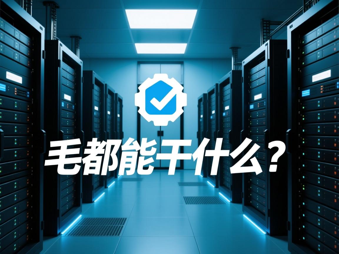 虚拟主机都能干什么？  第2张