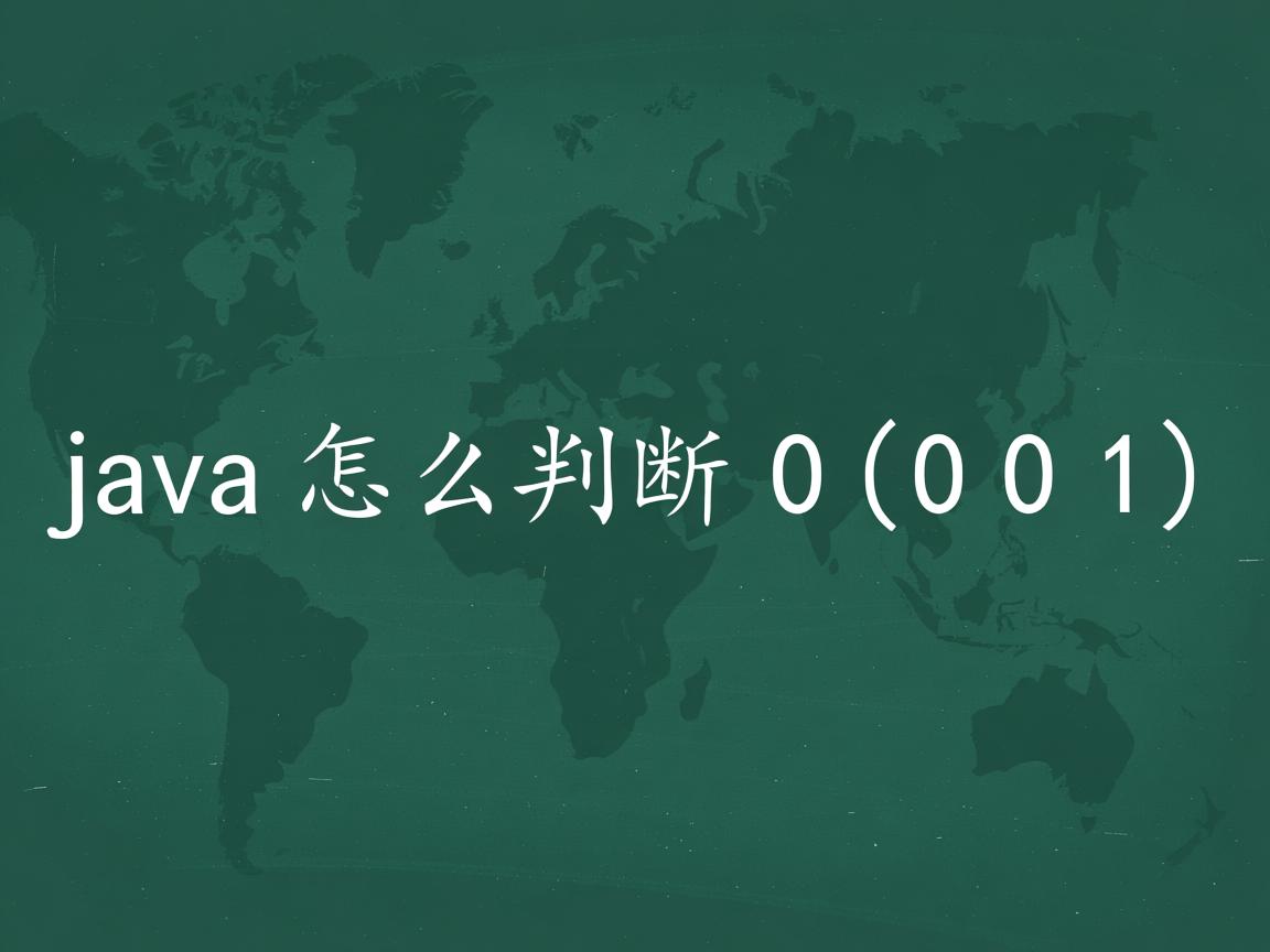 java怎么判断0001  第2张 java怎么判断0001  第2张