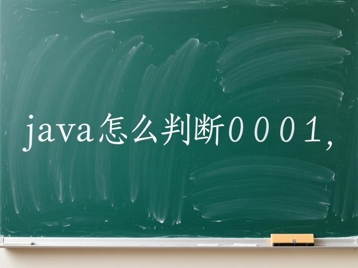 java怎么判断0001  第3张 java怎么判断0001  第3张