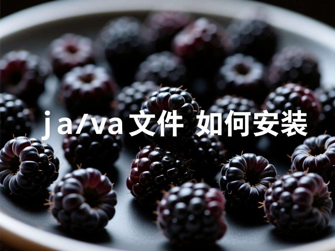 黑莓java文件如何安装  第1张