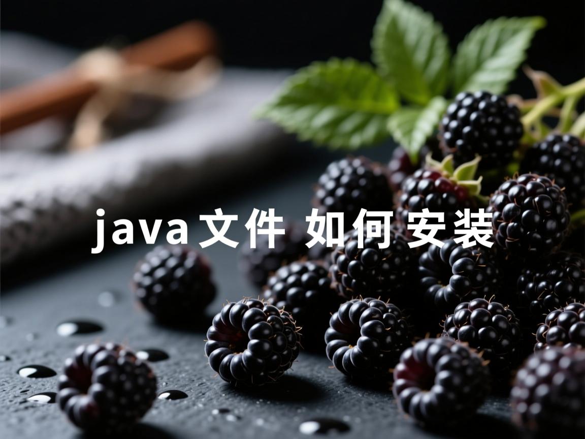 黑莓java文件如何安装  第3张