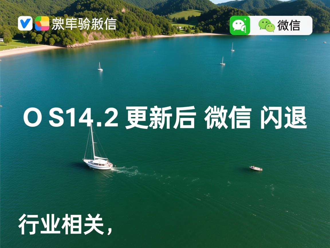 iOS14.2更新后微信闪退  第2张