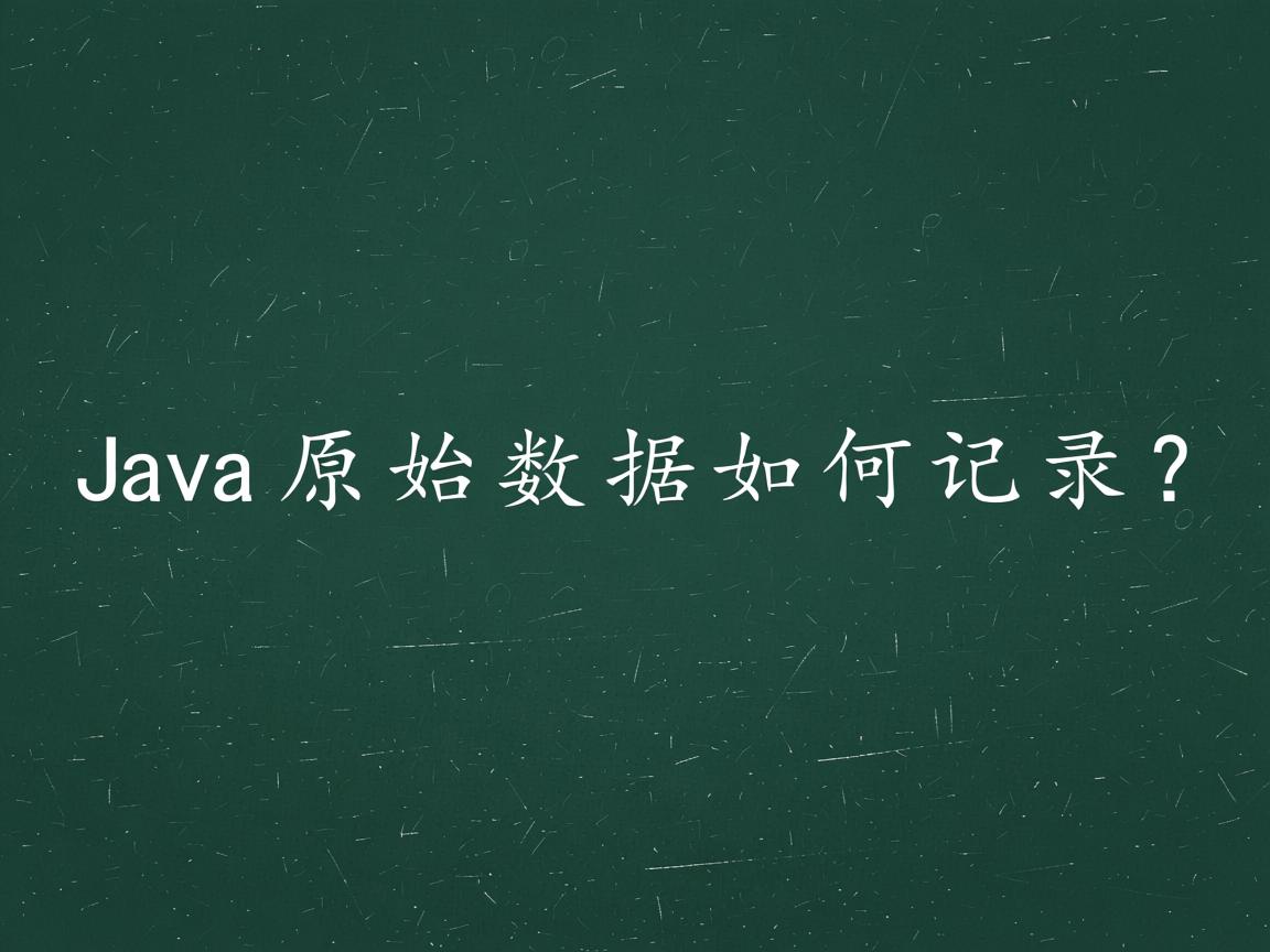 Java原始数据如何记录?  第2张 Java原始数据如何记录?  第2张