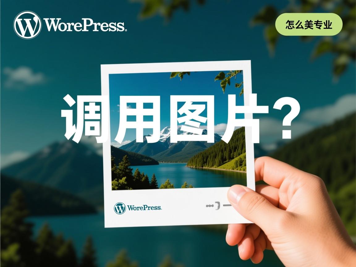 WordPress怎么调用图片?  第1张 WordPress怎么调用图片?  第1张