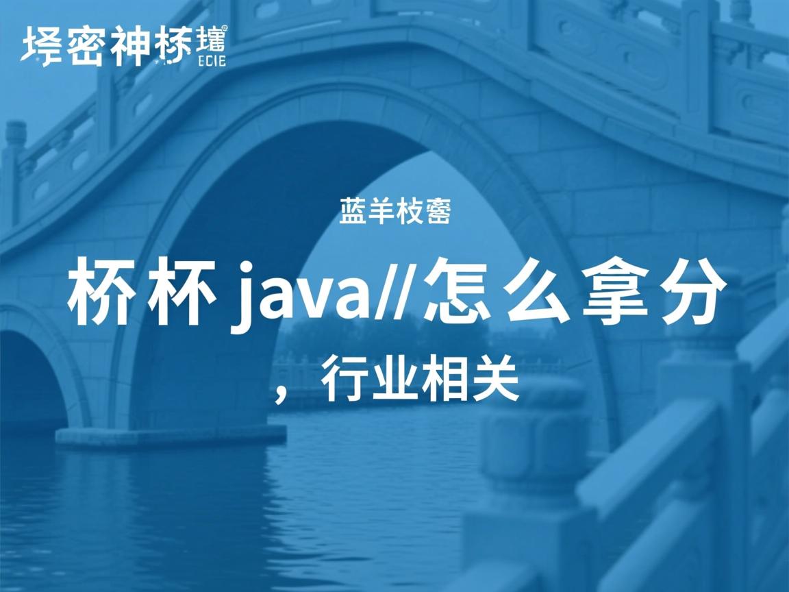 蓝桥杯java 怎么拿分  第1张