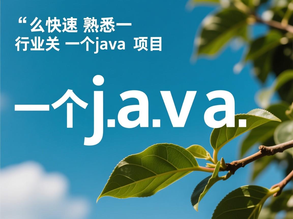 怎么快速熟悉一个java项目 第3张 怎么快速熟悉一个java项目 第3张