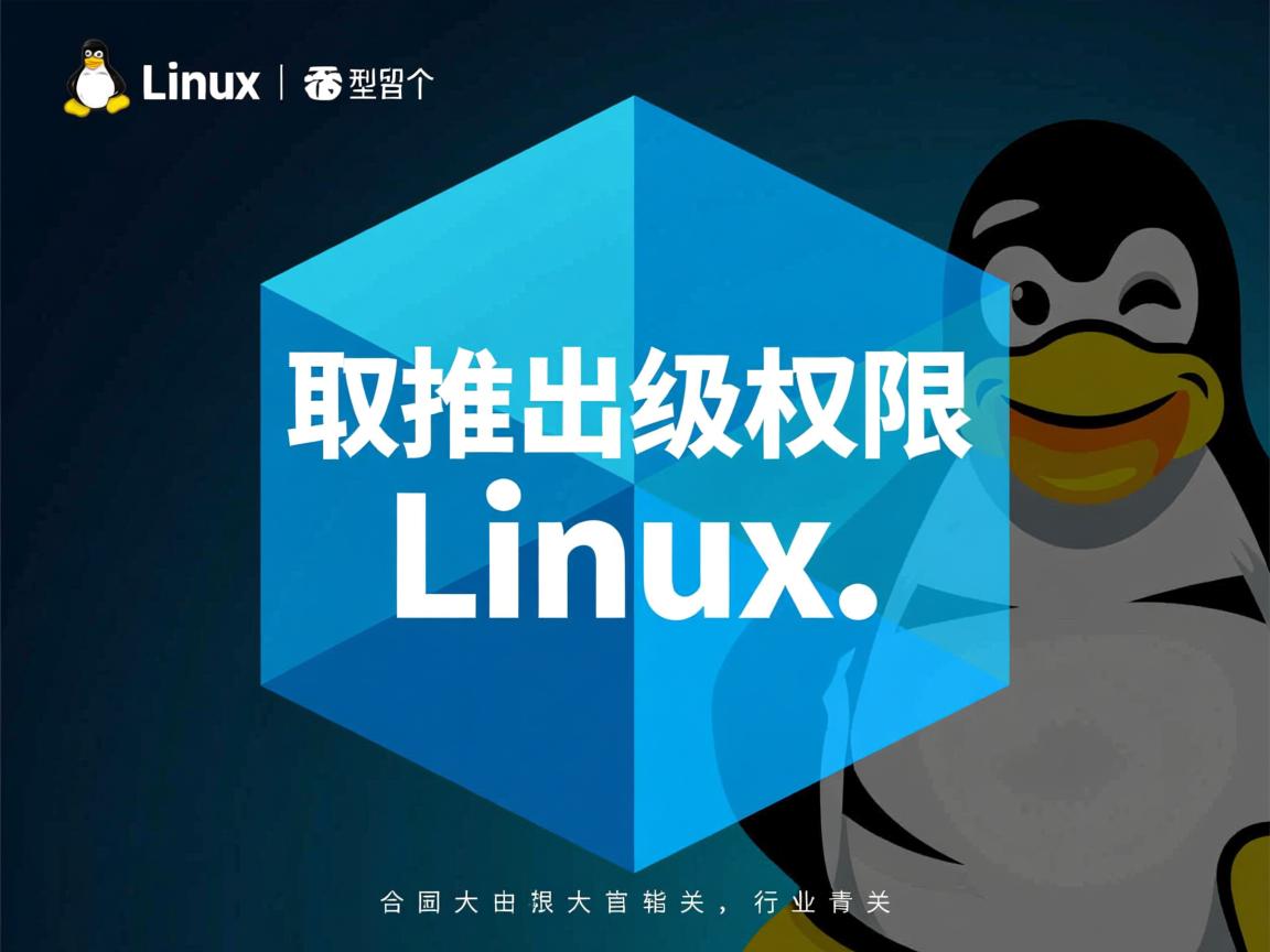 如何取推出级权限 linux  第1张 如何取推出级权限 linux  第1张